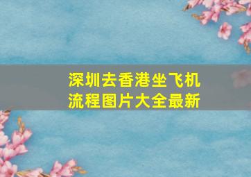 深圳去香港坐飞机流程图片大全最新