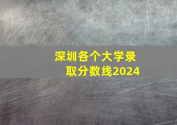 深圳各个大学录取分数线2024