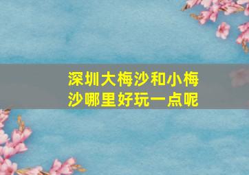 深圳大梅沙和小梅沙哪里好玩一点呢