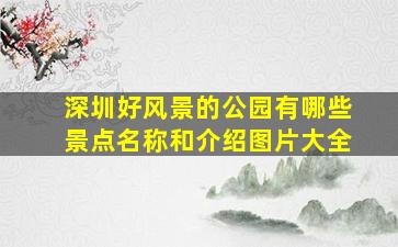 深圳好风景的公园有哪些景点名称和介绍图片大全