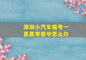 深圳小汽车摇号一直是审核中怎么办