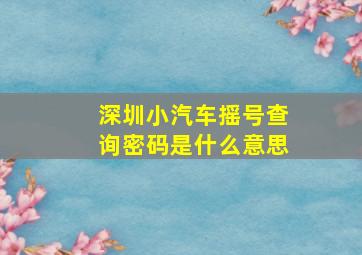 深圳小汽车摇号查询密码是什么意思