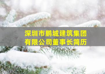 深圳市鹏城建筑集团有限公司董事长简历