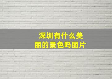 深圳有什么美丽的景色吗图片