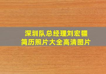 深圳队总经理刘宏疆简历照片大全高清图片