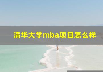 清华大学mba项目怎么样