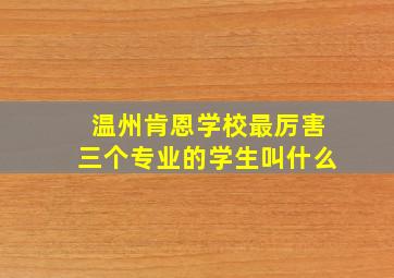 温州肯恩学校最厉害三个专业的学生叫什么