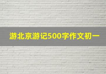 游北京游记500字作文初一