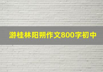 游桂林阳朔作文800字初中