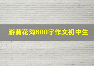 游黄花沟800字作文初中生