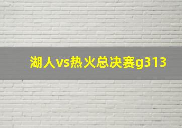 湖人vs热火总决赛g313