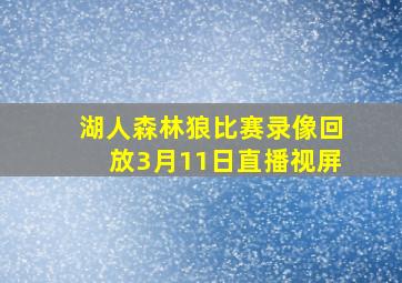 湖人森林狼比赛录像回放3月11日直播视屏