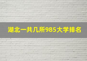 湖北一共几所985大学排名