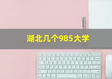 湖北几个985大学