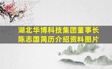 湖北华博科技集团董事长陈志国简历介绍资料图片