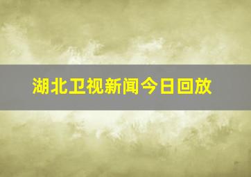 湖北卫视新闻今日回放