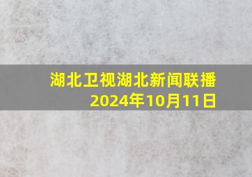 湖北卫视湖北新闻联播2024年10月11日