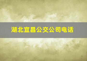 湖北宜昌公交公司电话