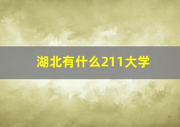 湖北有什么211大学