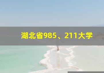 湖北省985、211大学