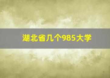 湖北省几个985大学