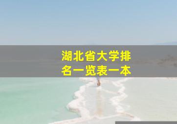 湖北省大学排名一览表一本