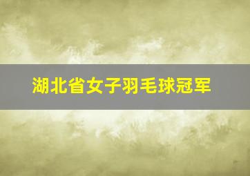 湖北省女子羽毛球冠军