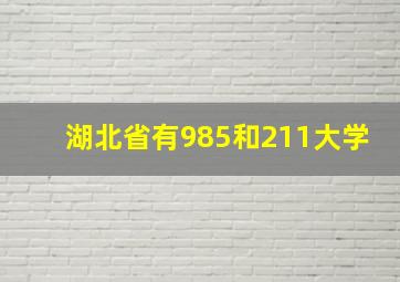 湖北省有985和211大学