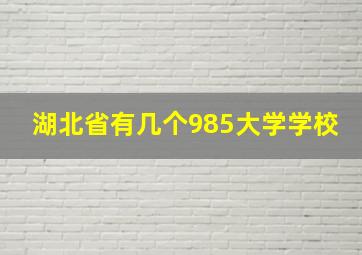 湖北省有几个985大学学校