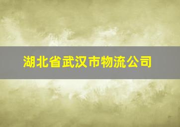 湖北省武汉市物流公司