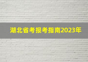 湖北省考报考指南2023年