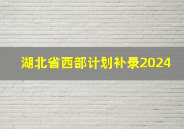 湖北省西部计划补录2024