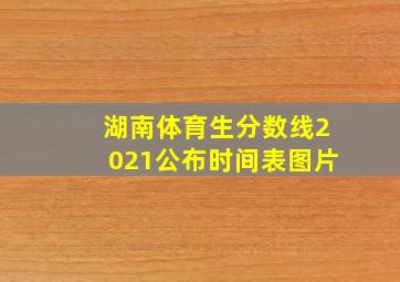 湖南体育生分数线2021公布时间表图片