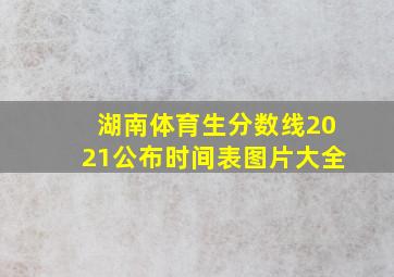 湖南体育生分数线2021公布时间表图片大全