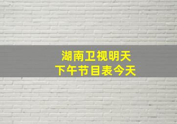 湖南卫视明天下午节目表今天