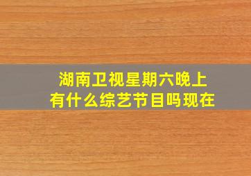 湖南卫视星期六晚上有什么综艺节目吗现在