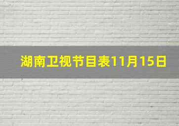 湖南卫视节目表11月15日