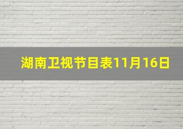 湖南卫视节目表11月16日