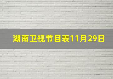 湖南卫视节目表11月29日