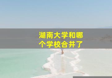 湖南大学和哪个学校合并了