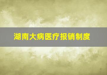 湖南大病医疗报销制度