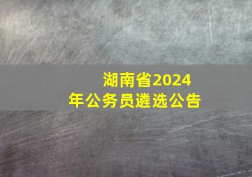 湖南省2024年公务员遴选公告