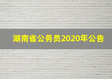 湖南省公务员2020年公告