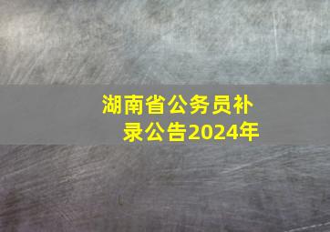 湖南省公务员补录公告2024年