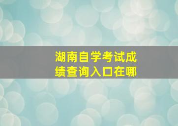 湖南自学考试成绩查询入口在哪