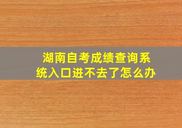 湖南自考成绩查询系统入口进不去了怎么办