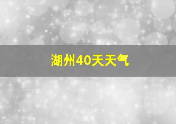 湖州40天天气