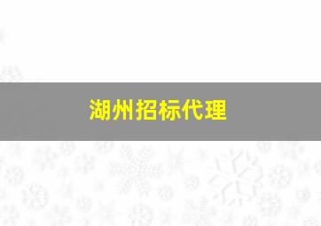 湖州招标代理