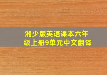 湘少版英语课本六年级上册9单元中文翻译