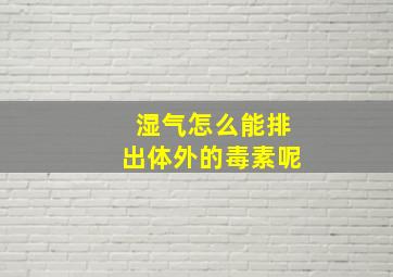 湿气怎么能排出体外的毒素呢